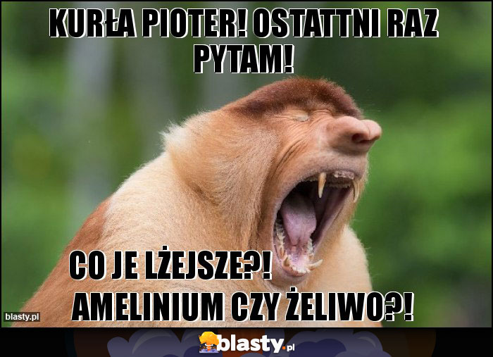 Kurła Pioter! Ostattni raz pytam!