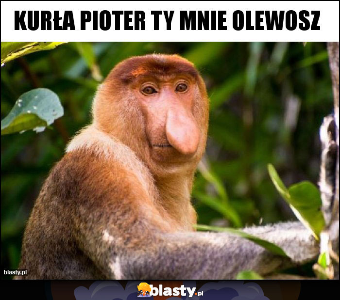 KURŁA PIOTER TY MNIE OLEWOSZ