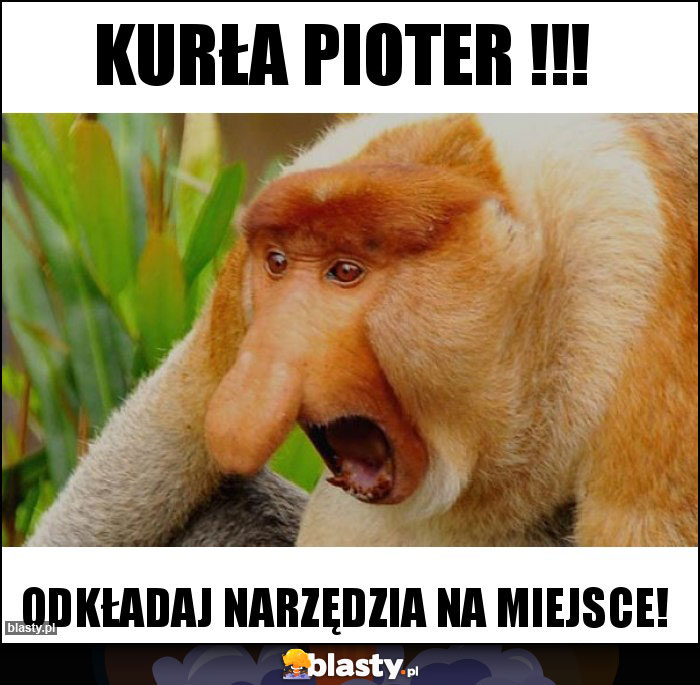 Kurła pioter !!!