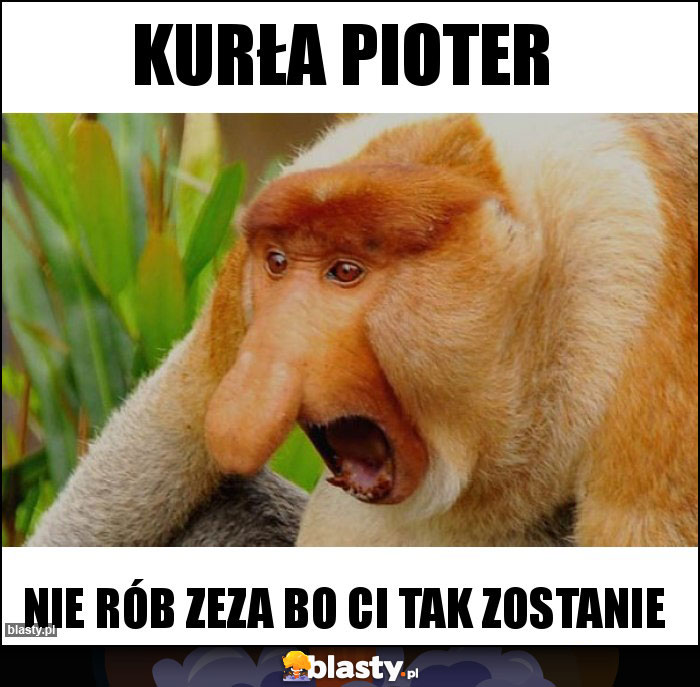 Kurła pioter