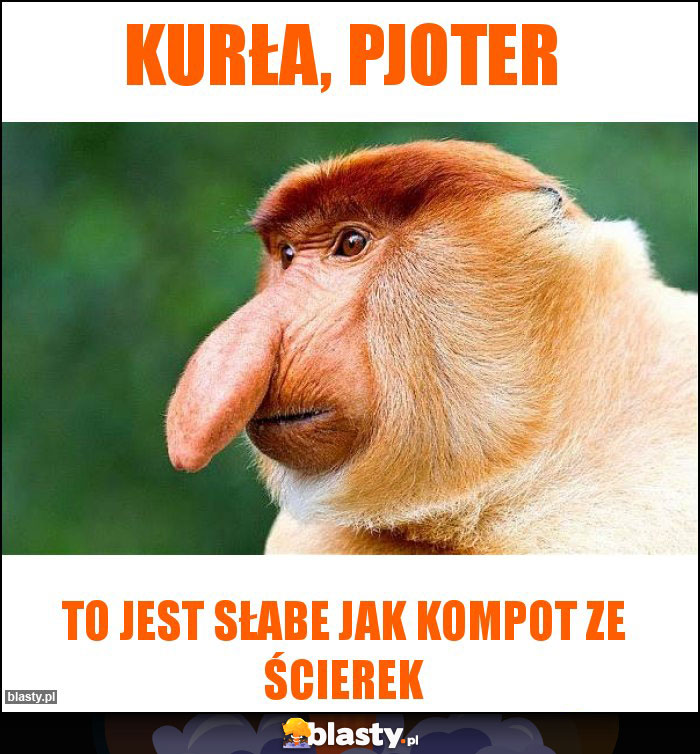 Kurła, Pjoter