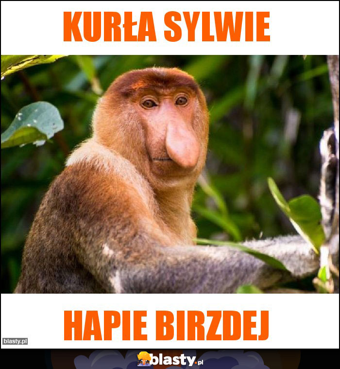 Kurła Sylwie