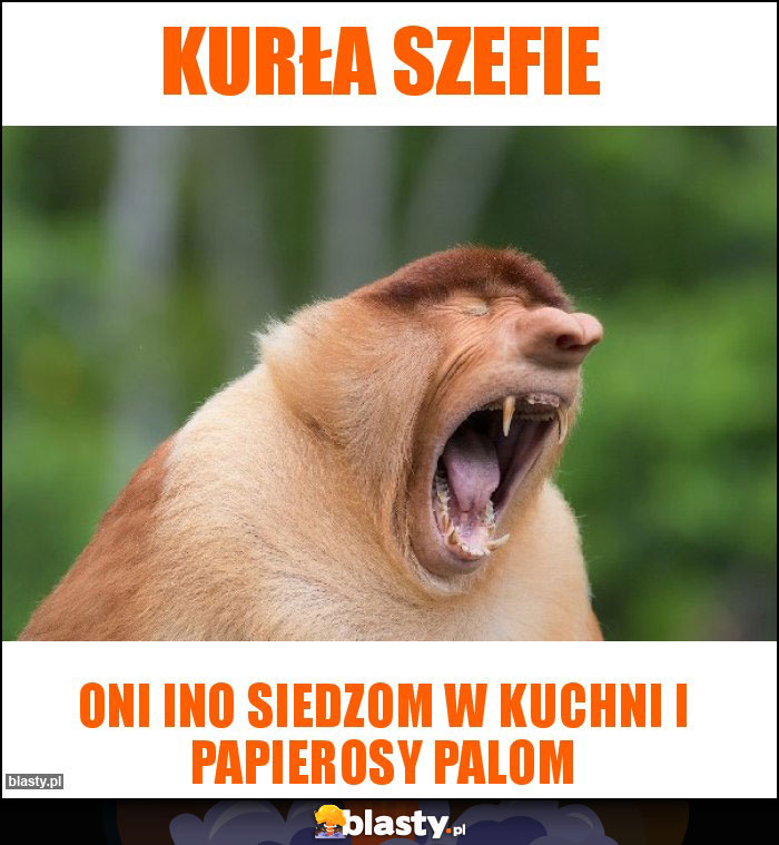 KURŁA SZEFIE