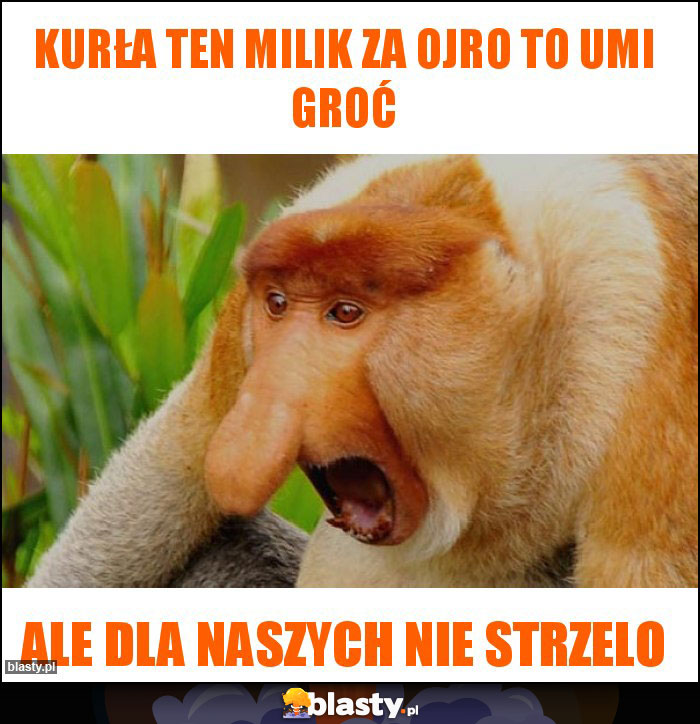 Kurła ten Milik za ojro to umi groć