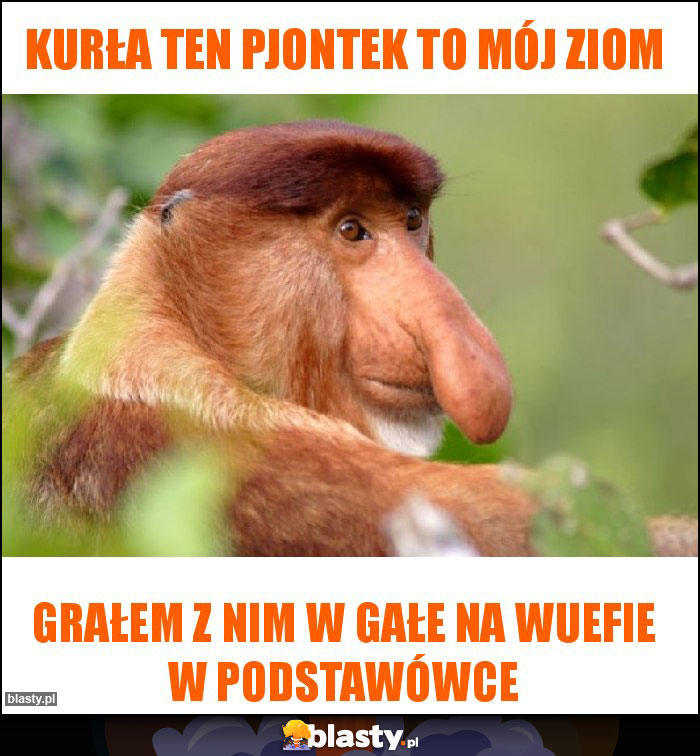 Kurła ten pjontek to mój ziom