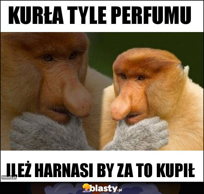 Kurła Tyle perfumu