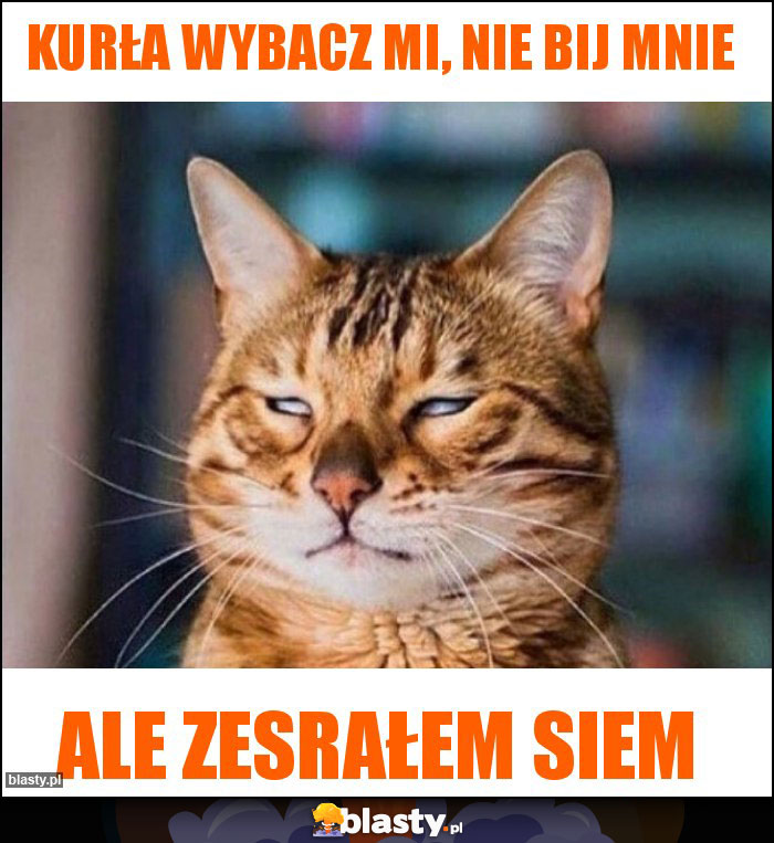 Kurła wybacz mi, nie bij mnie