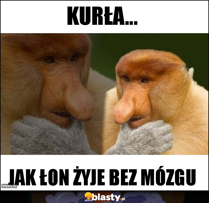 Kurła...