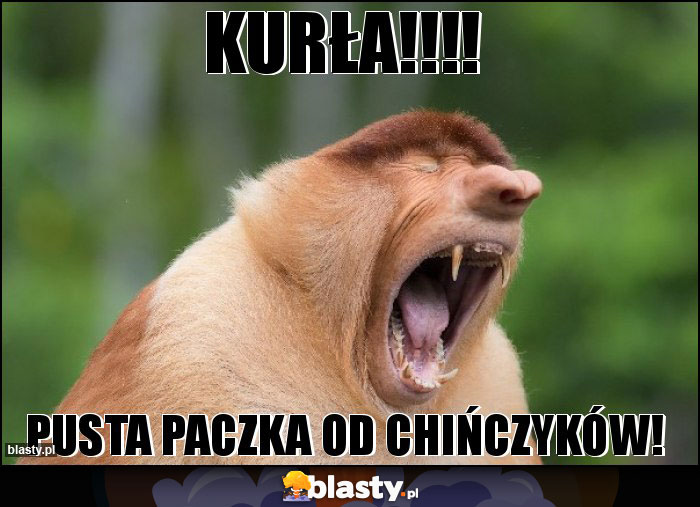 KURŁA!!!!