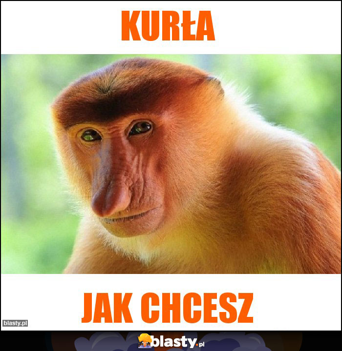 kurła