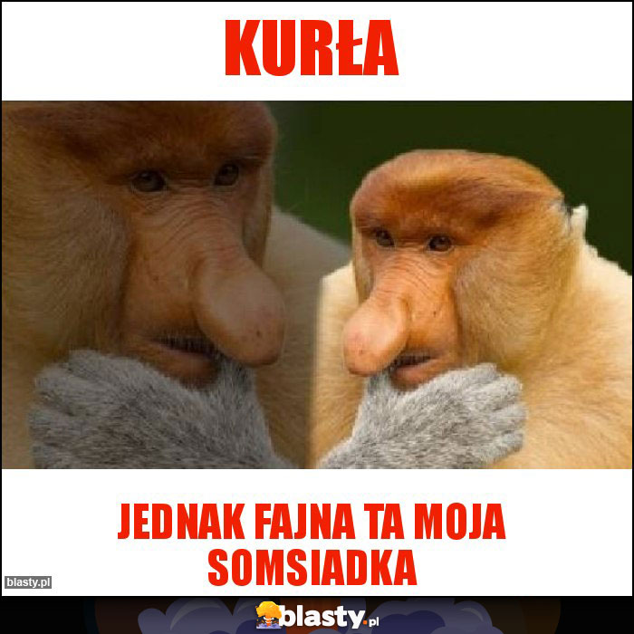 Kurła