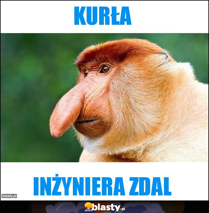 Kurła