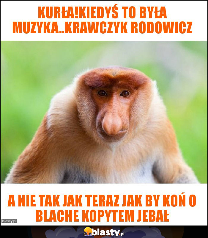 Kurła!Kiedyś to była muzyka..Krawczyk Rodowicz