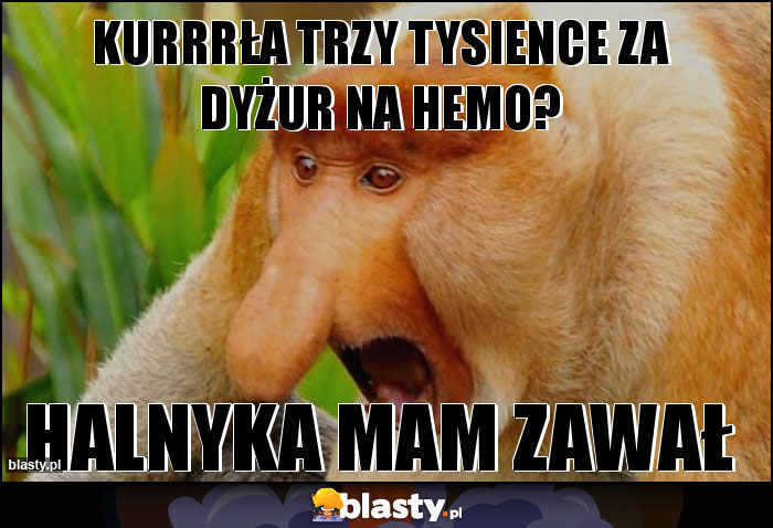 Kurrrła trzy tysience za dyżur na hemo?