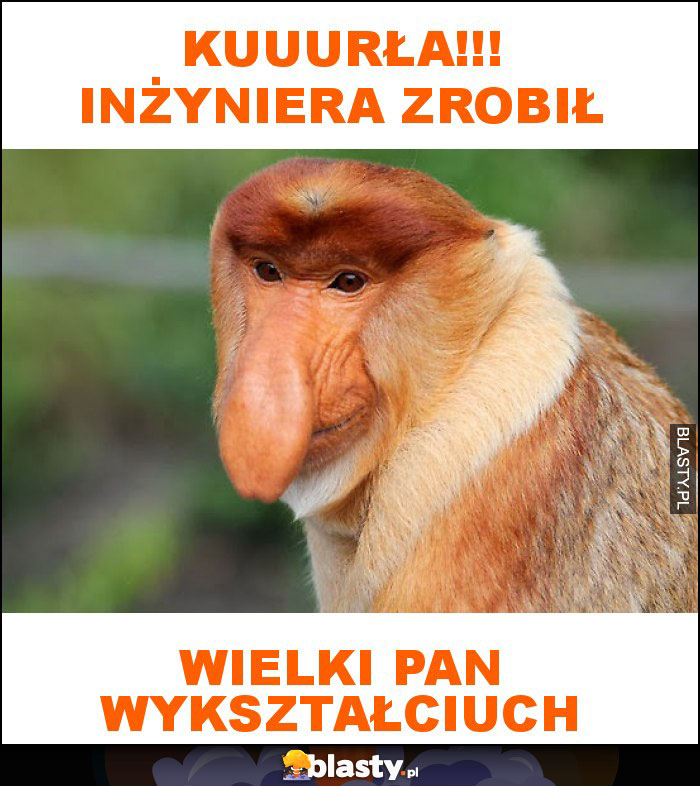 KUUURŁA!!! INŻYNIERA ZROBIŁ