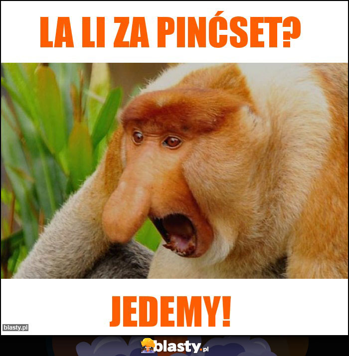 LA LI za pinćset?