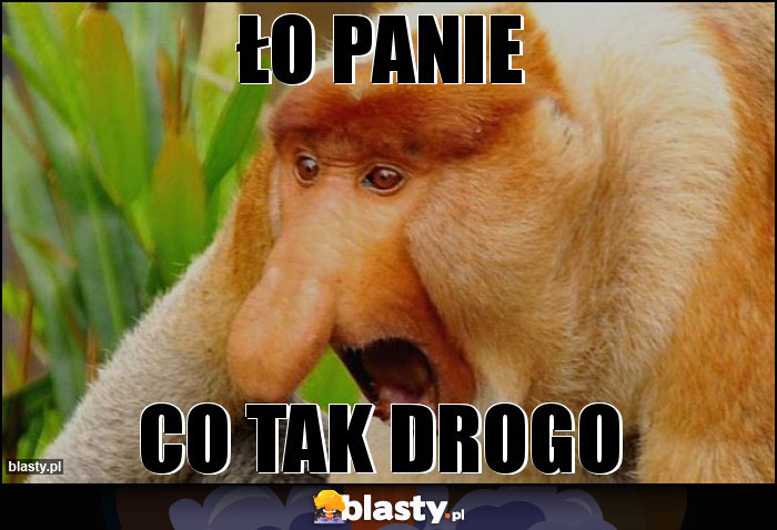 Ło panie