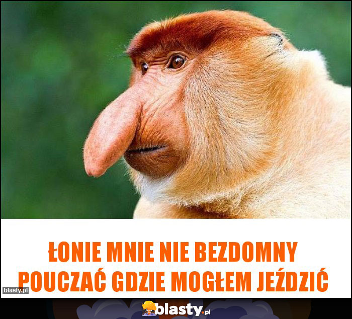 Łonie mnie nie bezdomny pouczać gdzie mogłem jeździć