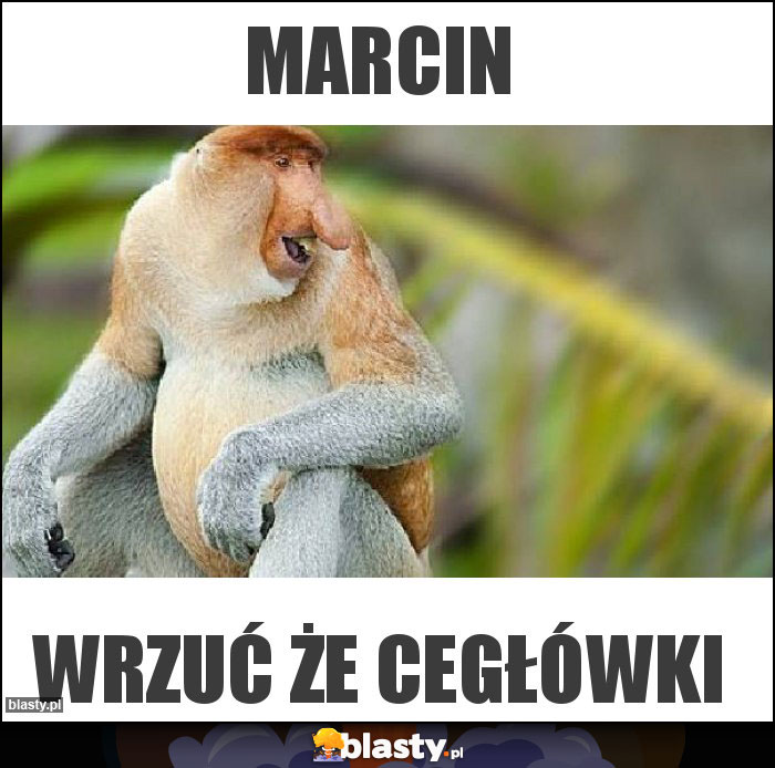 Marcin