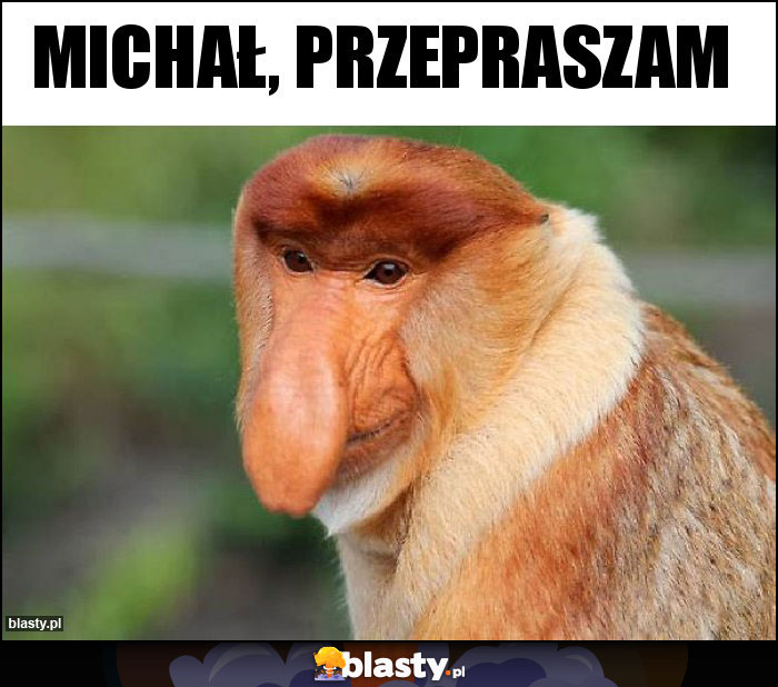 Michał, Przepraszam