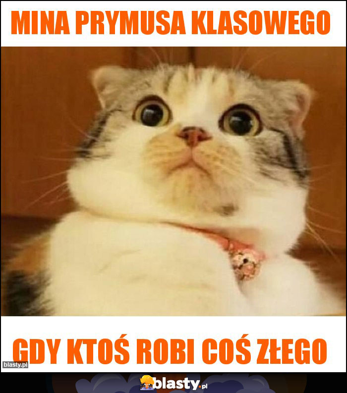 Mina prymusa klasowego