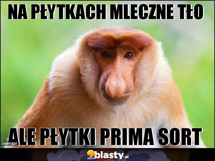 Na płytkach mleczne tło