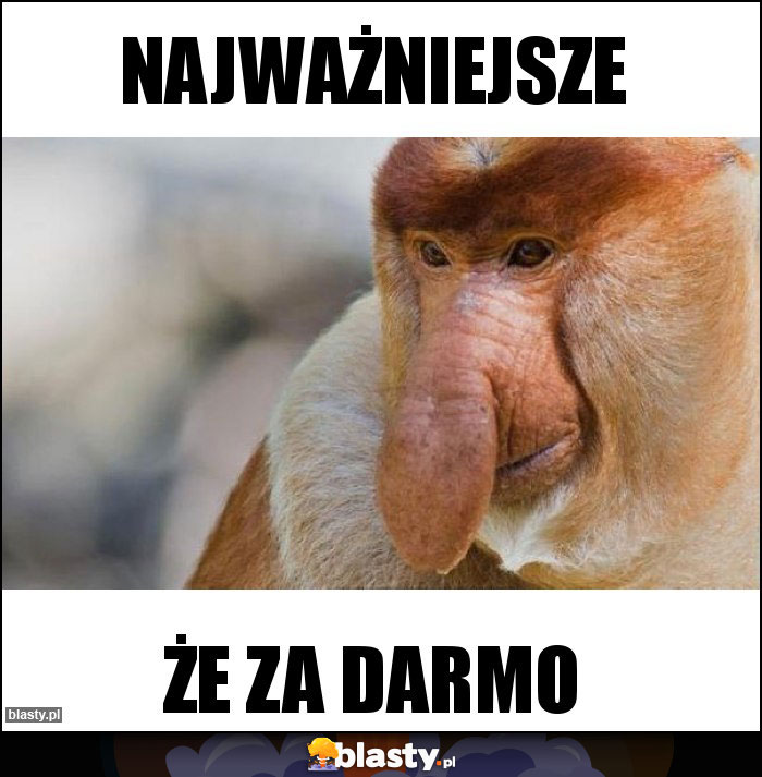 Najważniejsze