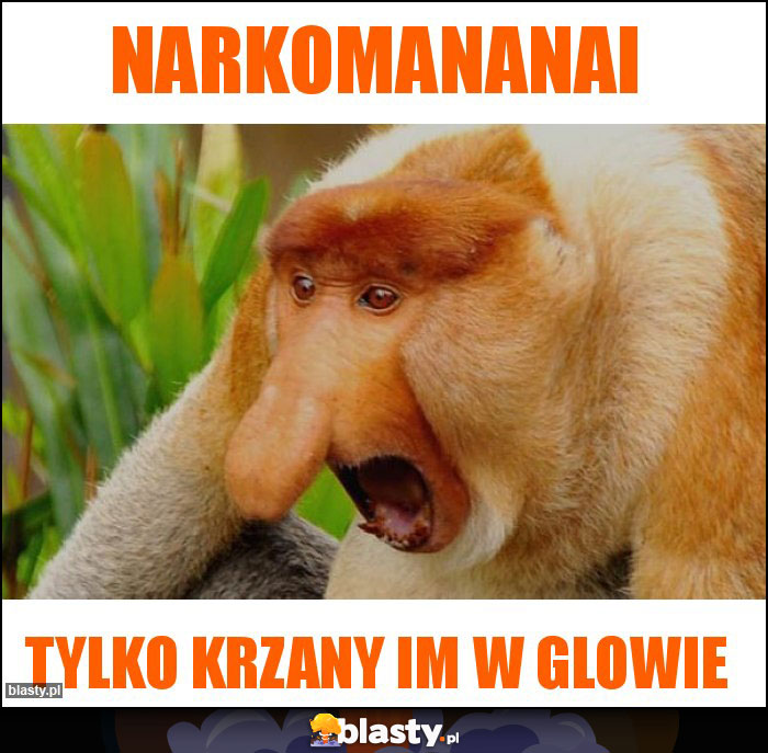 Narkomananai