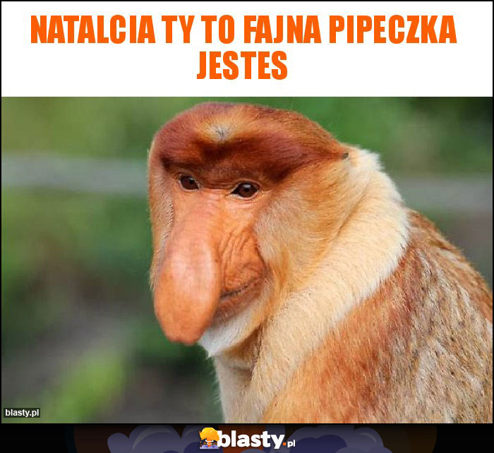 NATALCIA TY TO FAJNA PIPECZKA JESTES