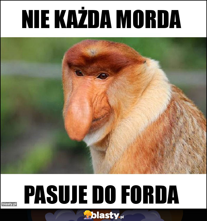 Nie każda morda