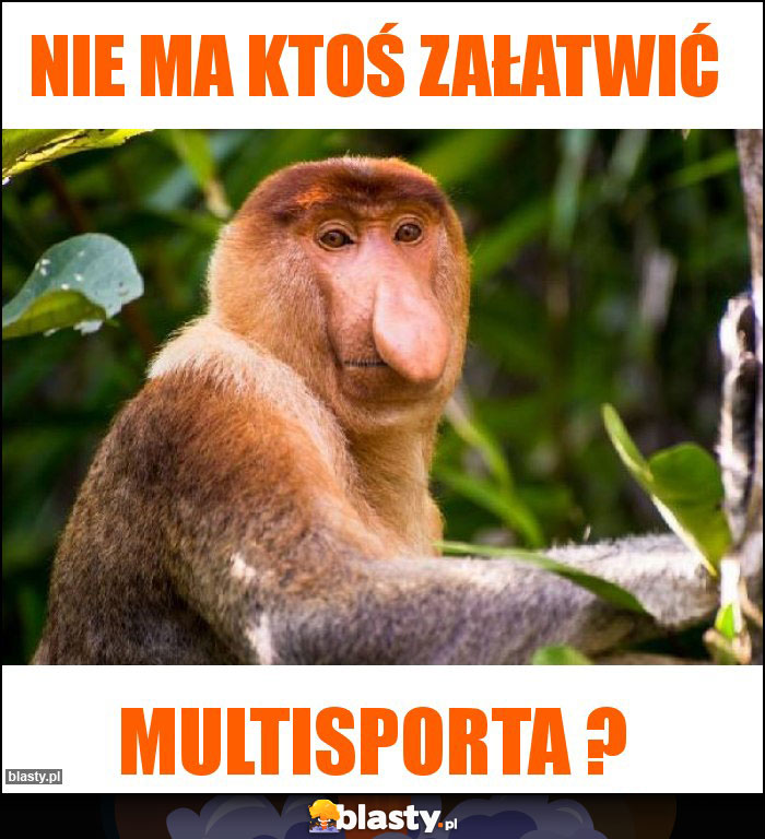 Nie ma ktoś załatwić