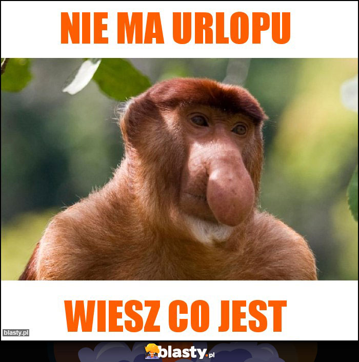 Nie ma urlopu