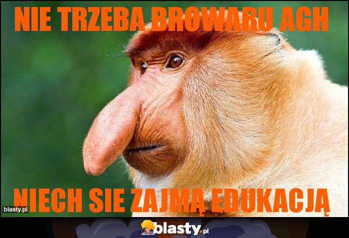 nie trzeba browaru AGH