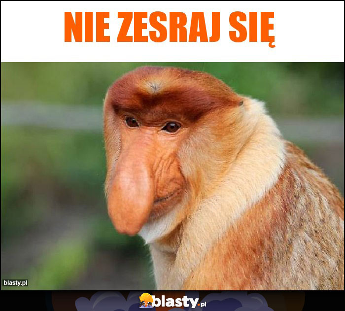 Nie Zesraj się