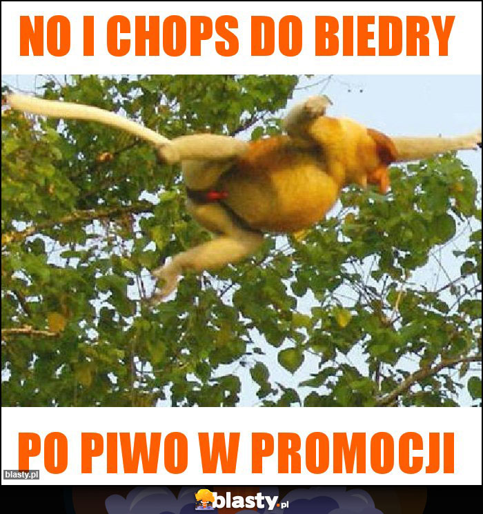 No i chops do biedry