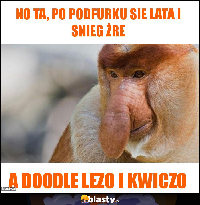 No ta, po podfurku sie lata i snieg żre