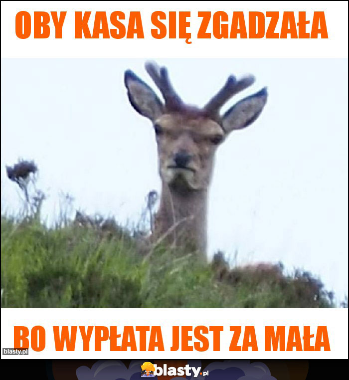 Oby kasa się zgadzała