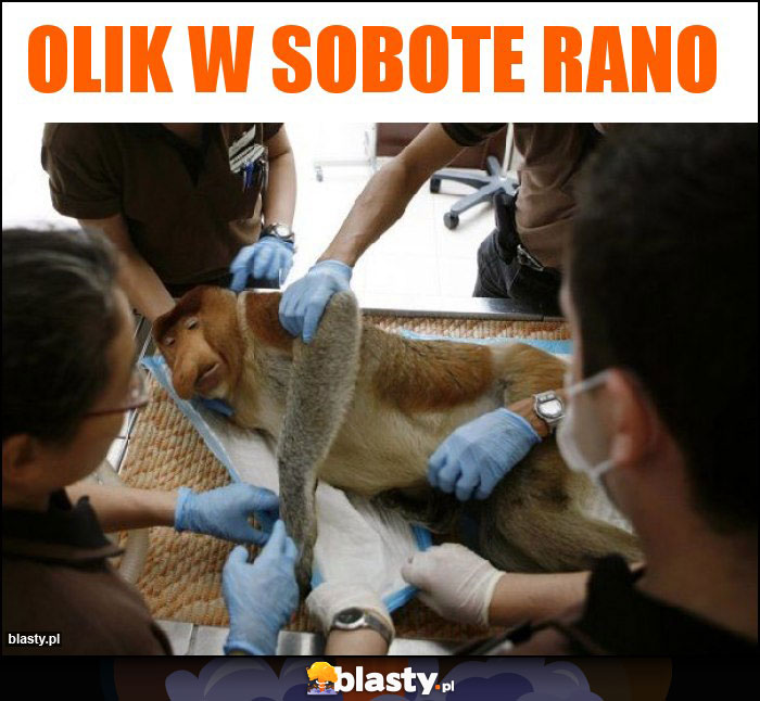 Olik w sobote rano