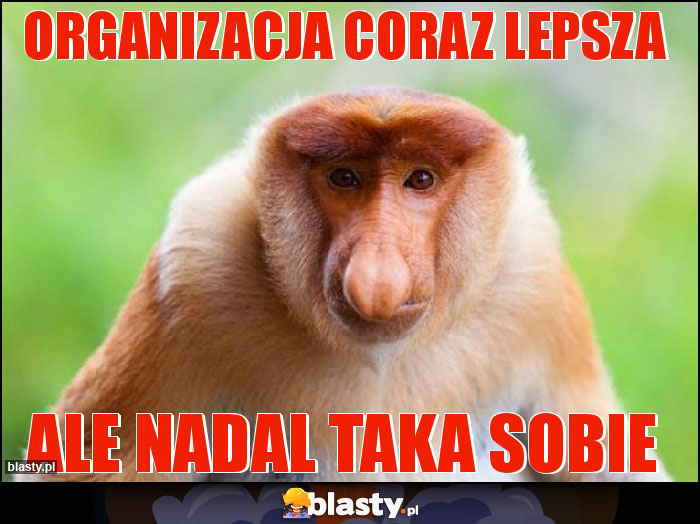 Organizacja coraz lepsza