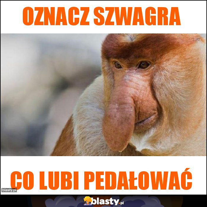 Oznacz Szwagra