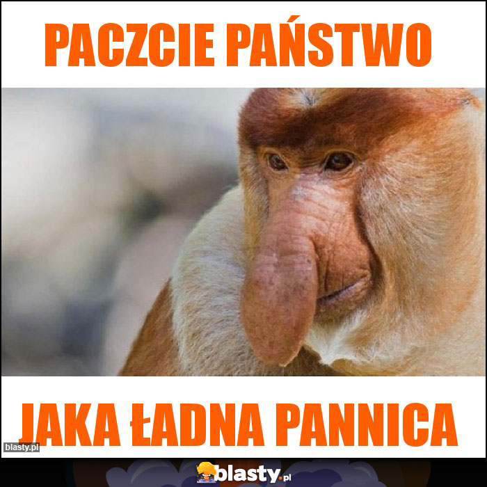 Paczcie państwo