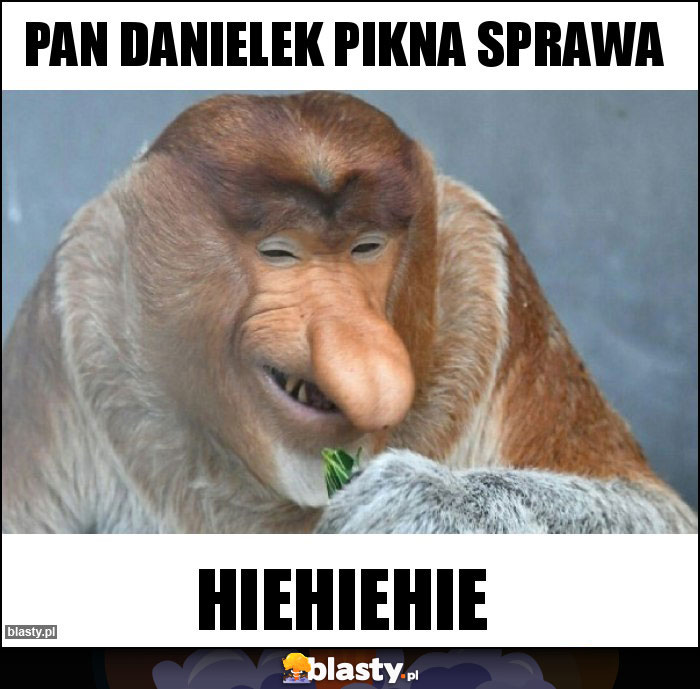 PAN DANIELEK PIKNA SPRAWA