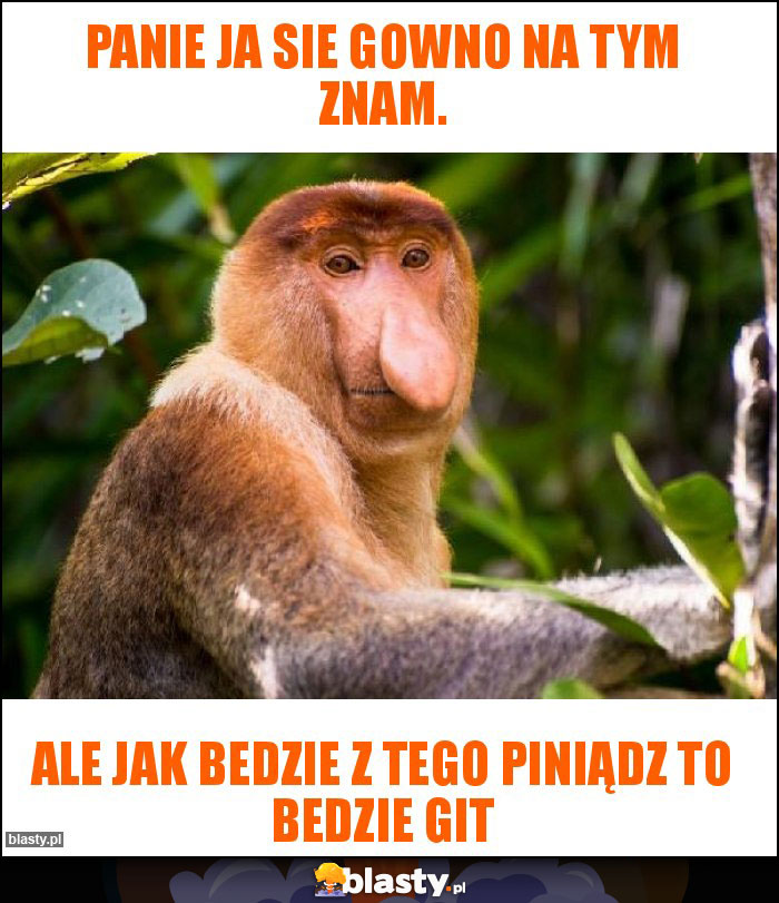 panie ja sie gowno na tym znam.