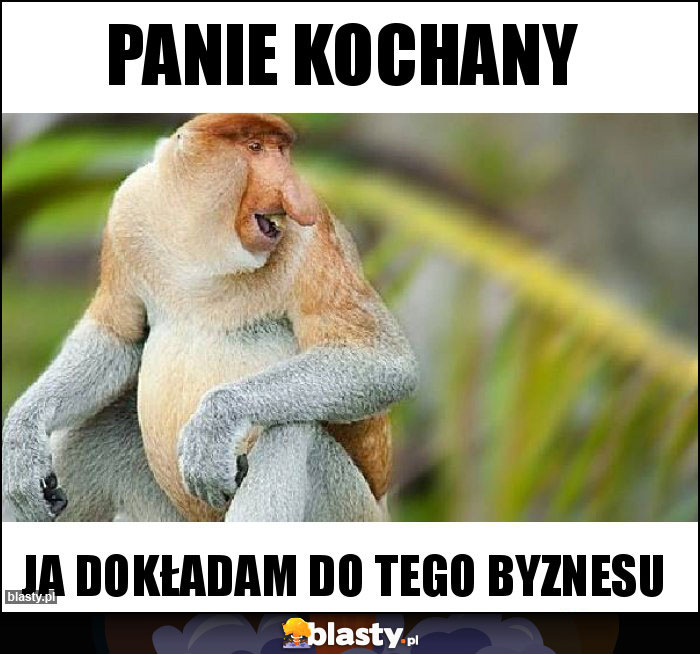 Panie Kochany