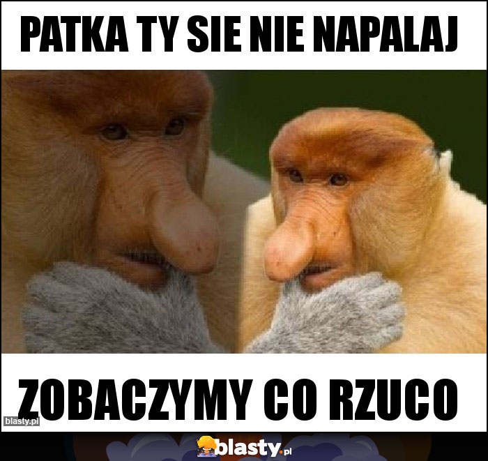 Patka ty sie nie napalaj