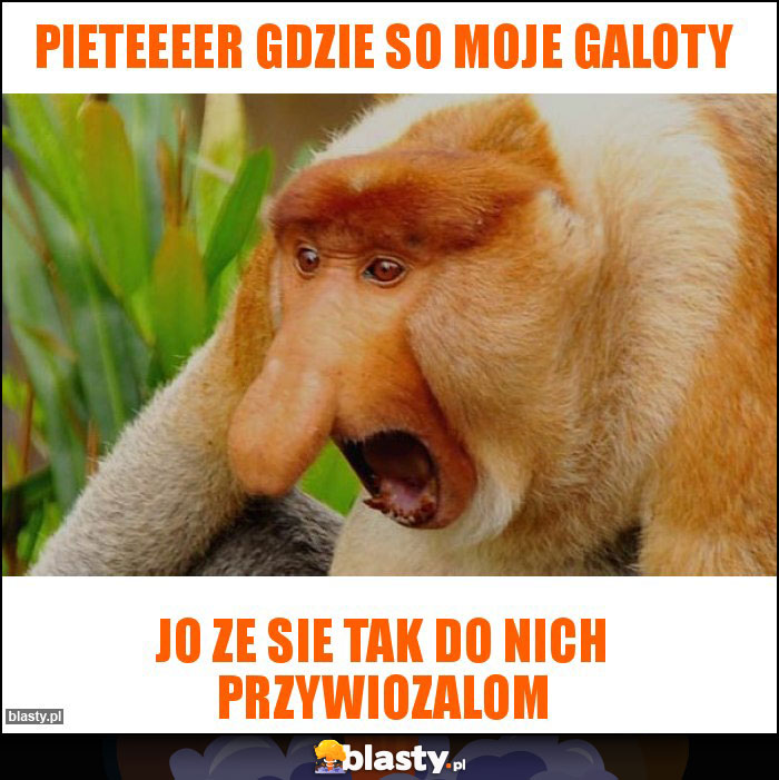 Pieteeeer gdzie so moje galoty