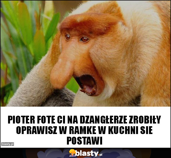 Pioter fote ci na dzangłerze zrobiły oprawisz w ramke w kuchni sie postawi