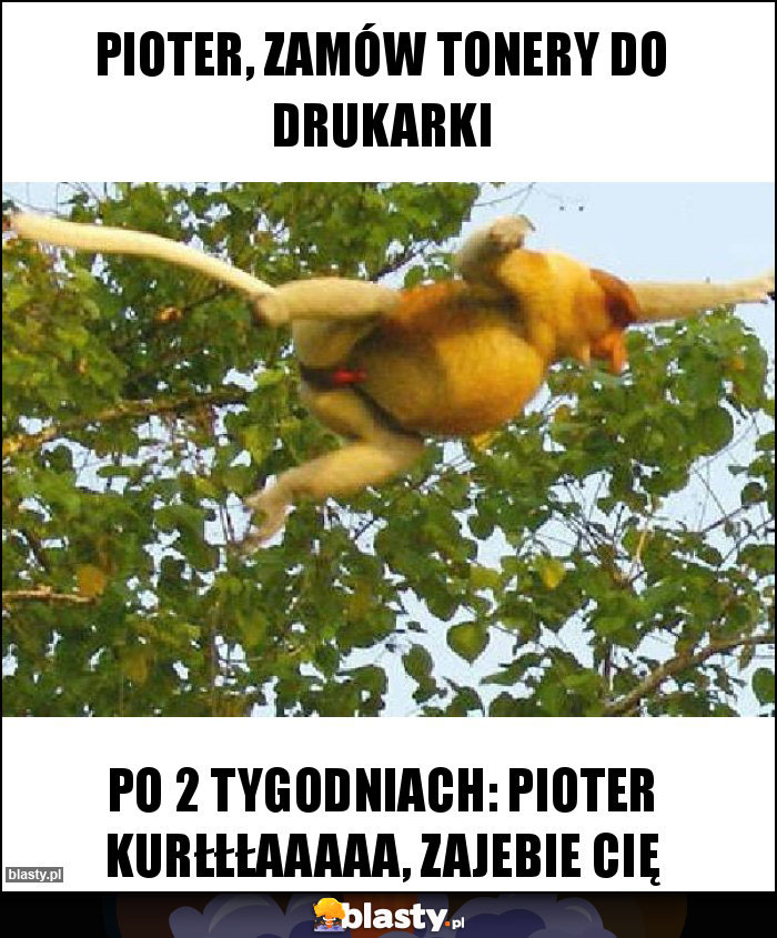 Pioter, zamów tonery do drukarki