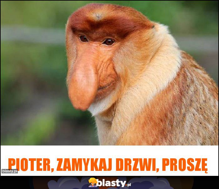 Pioter, zamykaj drzwi, proszę