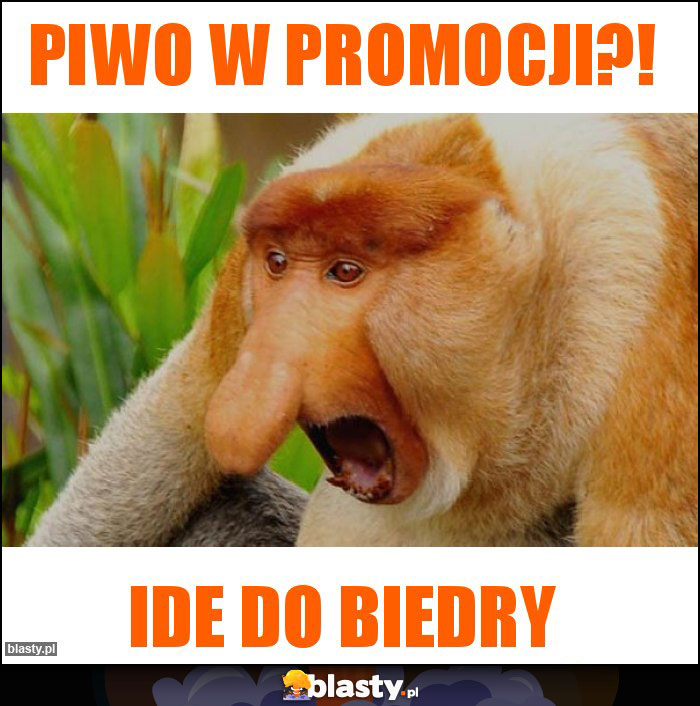 Piwo w promocji?!